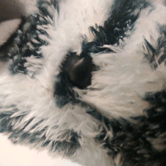 Aurora Zebra Horse Plush Stuffed Wild Animal Flopsie Soft Cuddlebuddy Toy 11" - Picture 7 of 13